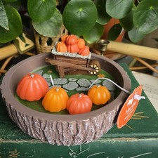 Martha Stewart Pu.pkin Patch