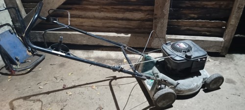 Runs need throttle briggs - need,