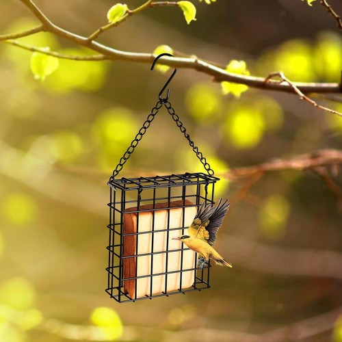 Bird suet cake feeder garden - bird,