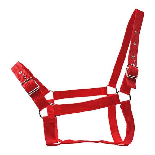 Horse halter adjustable nylon - horse,