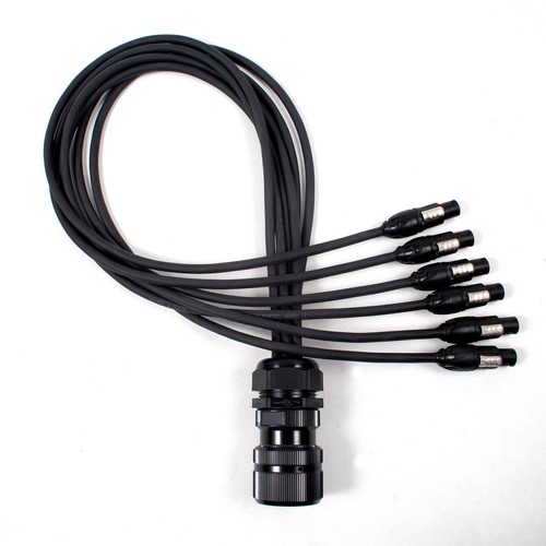Socapex spider male - -,