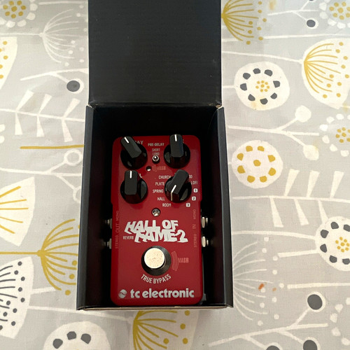 Electronic hall fame - hall,
