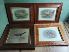 Vintage Game Bird Prints In