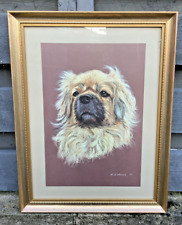 Original Soft Pastel Drawing Tibetan Spaniel Pekingese Dog Framed VG Art Artist