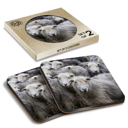 Boxed square coasters - 2,