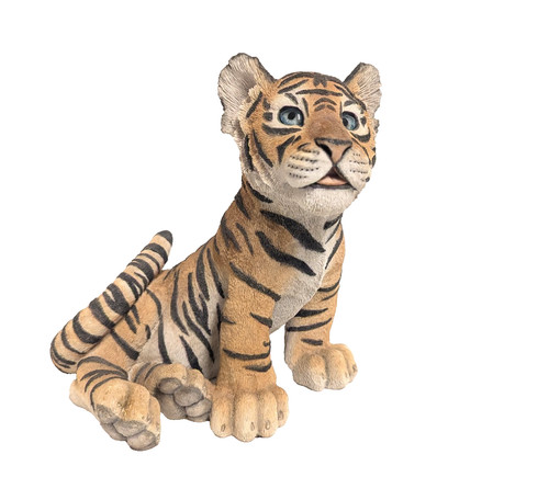 Large tiger cub - large, 'young