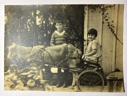 Circa 1927 goat - 1927,