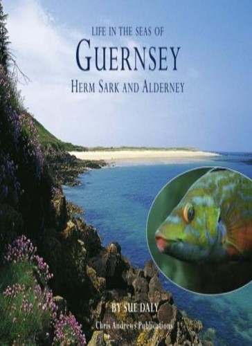 Sealife guernsey herm - in, guernsey,