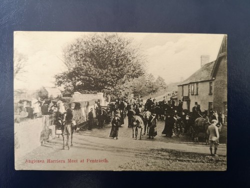 Vintage postcard anglesey - postcard,
