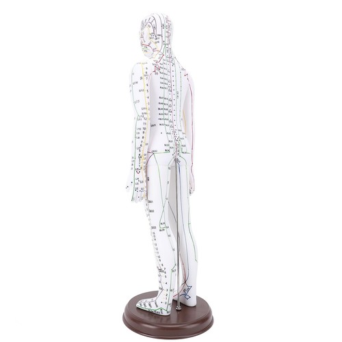 Female 52cm acupuncture - female, model