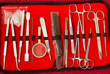 Dissecting Steel Biology