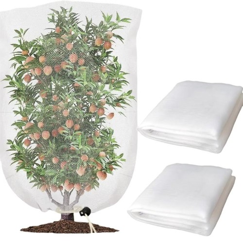Garden plant tree fruit - garden,