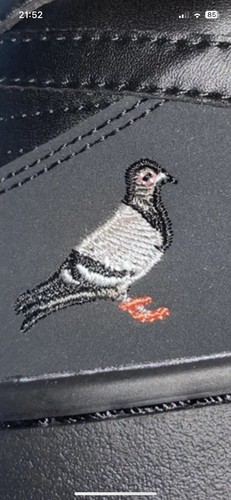 Nike pigeon staple dunk - staple, sb