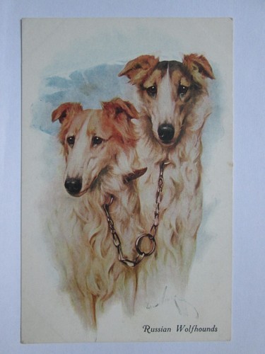 The russian wolfhound vintage - wolfhound,