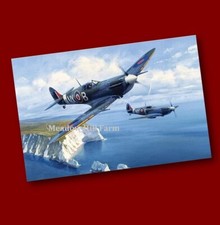 Fridge magnet RAF Spitfire WW2