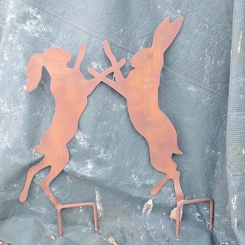 Boxing hares a - boxing, in