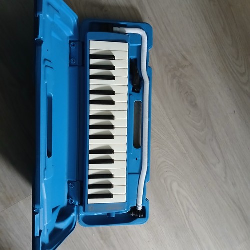 Hohner melodica blue - melodica,