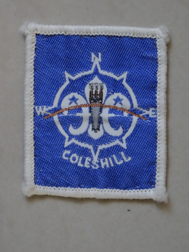 Coleshill district scout - scout, badge
