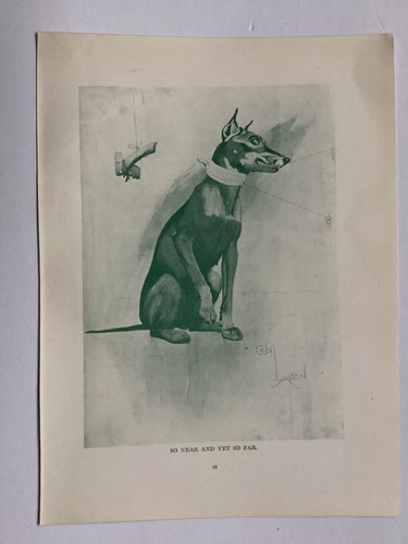 Comical dog and - dog,