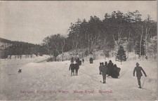 Saturday Afternoon In Winter