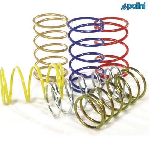 Polini p243043 valve spring - polini,