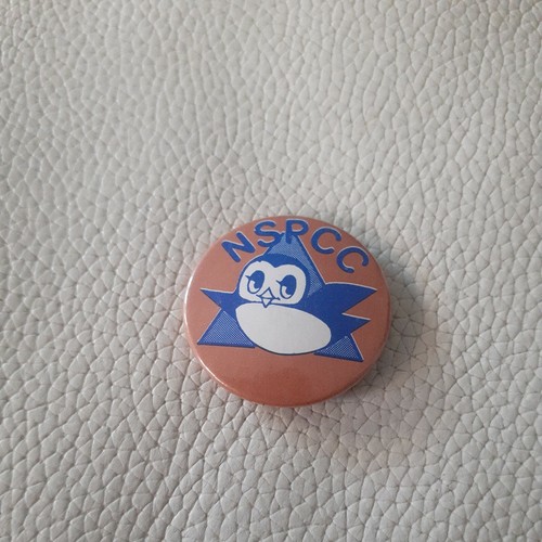 Nspcc vintage badge - nspcc,