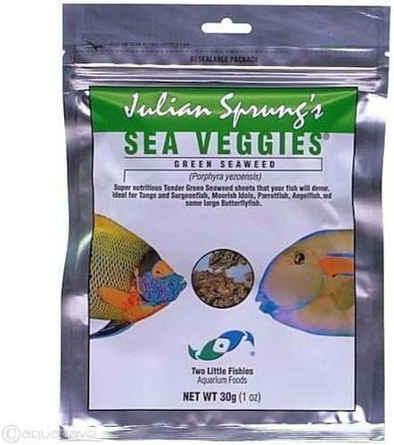 Marine reef fish - reef,