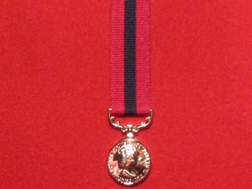 Miniature distinguished - miniature,