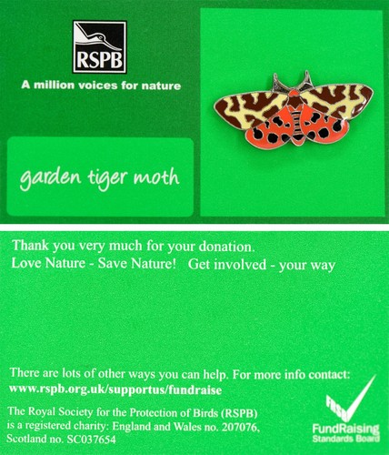 Rspb pin badge amvfn - rspb, garden