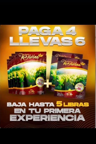 Divina vida 6 bags - divina,