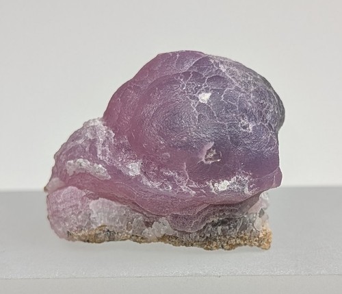 Mexican purple pink - mexican, purple-pink