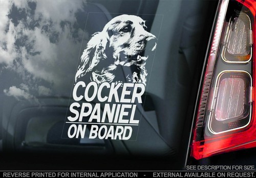 Cocker spaniel car - car,