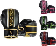 Vector Sports Boxing Gloves