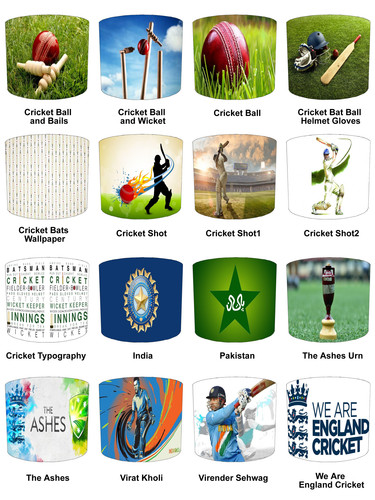 Twenty20 test cricket ceiling - cricket,