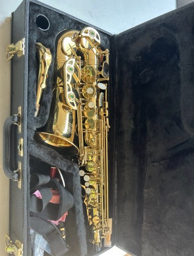 Elkhart 100as alto saxophone - elkhart,