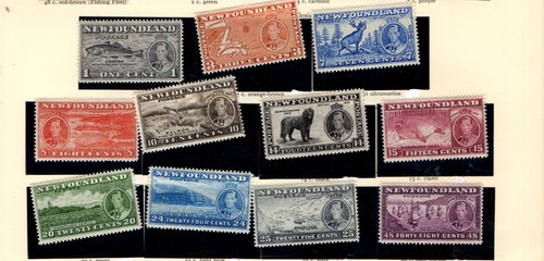 Newfoundland definitives - g6,
