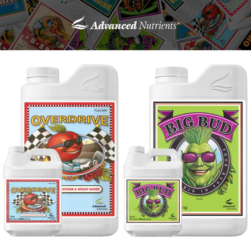 Advanced nutrients big bud - nutrients,