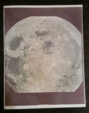 Original 8x10 NASA Apollo 8