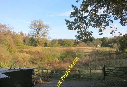 Photo 12x8 overgrown field - 12x8,