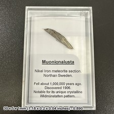 Genuine muonionalusta