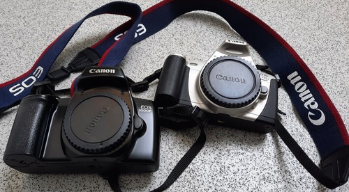 Canon eos film camera - eos,