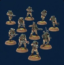 10 Man Cadian Shock Troops
