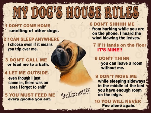 Dog house rules - house,
