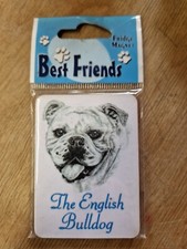 English Bulldog magnet English