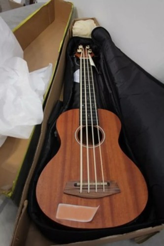 Ashbury fretless bass - ashbury,