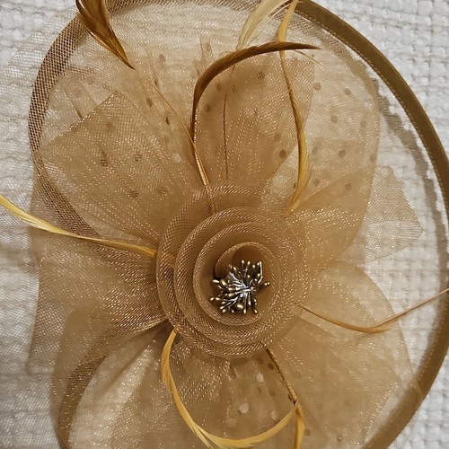 Gold mesh fascinator headpiece - gold,