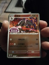 HOUNDOOM 0506/07 Stamped Holo