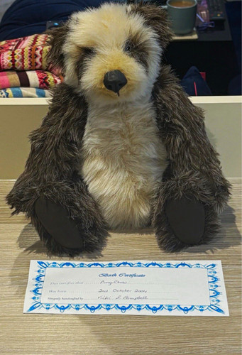 21st century bears ping - 21st,