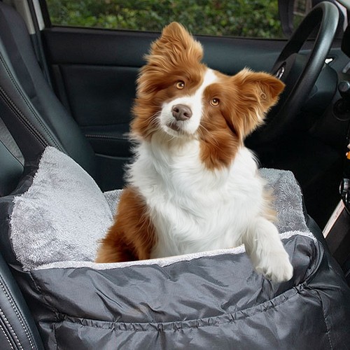 Dog car seat plush - seat, pet