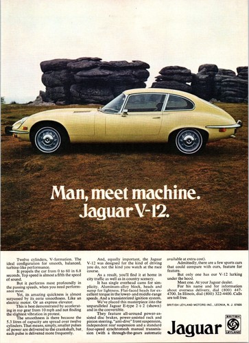 1973 jaguar jag type 2 - 1973, 2+2